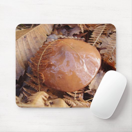 Slippery Jack Mushroom Mouse Mat Muismat (Met muis)