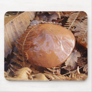 Slippery Jack Mushroom Mouse Mat Muismat