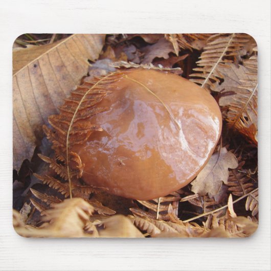 Slippery Jack Mushroom Mouse Mat Muismat (Voorkant)