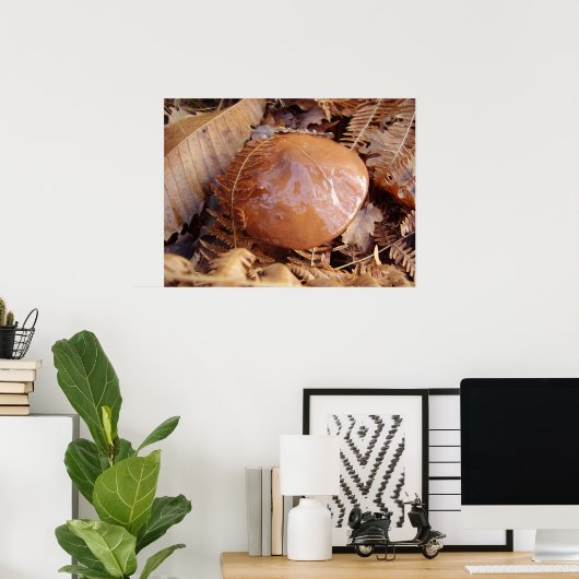 Slippery Jack Mushroom Poster (Thuiskantoor)