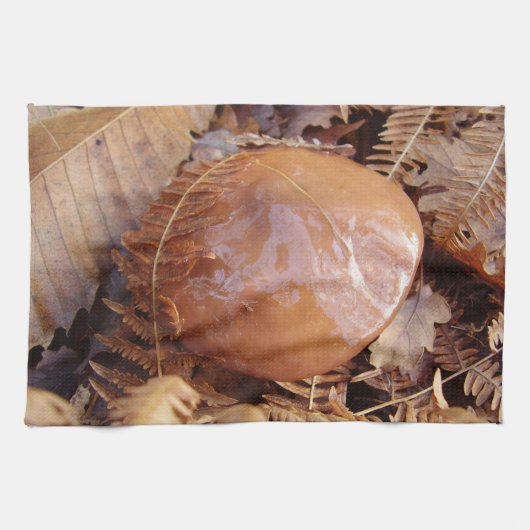 Slippery Jack Mushroom Theedoek (Horizontaal)