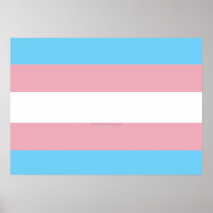 SlipperyJoe's driesporenpride vlag diversiteitspro Poster