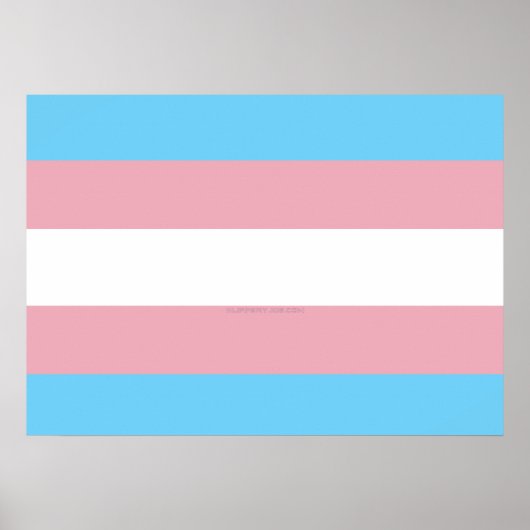 SlipperyJoe's driesporenpride vlag diversiteitspro Poster (Voorkant)
