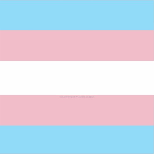 SlipperyJoe's driesporenpride vlag diversiteitspro Sticker (Voorkant)