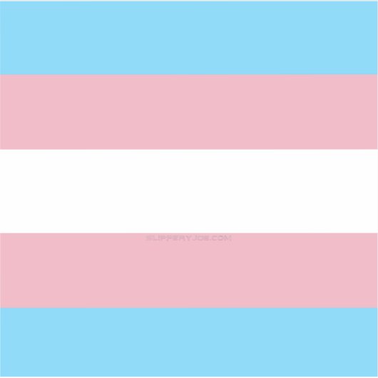 SlipperyJoe's driesporenpride vlag diversiteitspro Sticker (Voorkant)