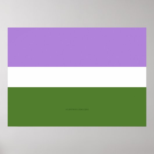 SlipperyJoe's Genderqueer Pride Flag kleuren Non-b Poster (Voorkant)