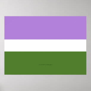 SlipperyJoe's Genderqueer Pride-vlag kleuren Non-b Poster