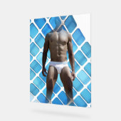 SlipperyJoe's Man ondergoed 6-pak borstkas mannetj Acryl Bord (Hoek)