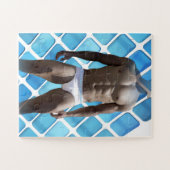 SlipperyJoe's Man ondergoed 6-pak borstkas mannetj Legpuzzel (Horizontaal)