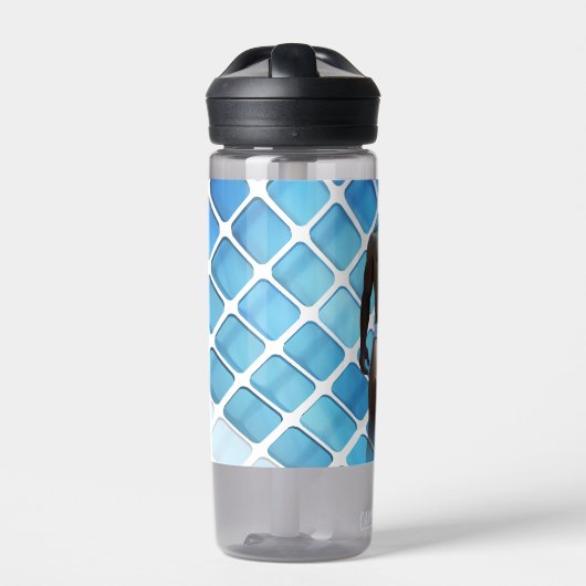 SlipperyJoe's Man ondergoed 6-pak borstkas mannetj Waterfles (Voorkant)