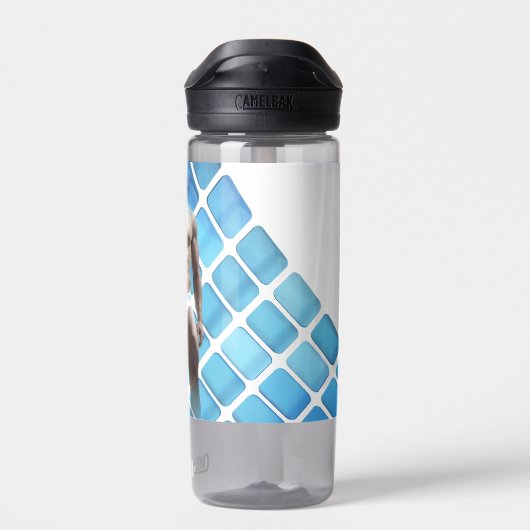 SlipperyJoe's Man ondergoed 6-pak borstkas mannetj Waterfles (Achterkant)