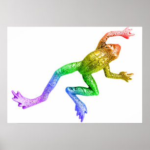 SlipperyJoe's Pride Kikker dier kruipende regenboo Poster