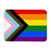 SlipperyJoe's Progress Pride-vlag zes klassieke ho Magneet (Horizontaal)