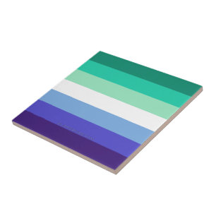 SlipperyJoe's trans-inclusieve gay mannen vlag pal Tegeltje