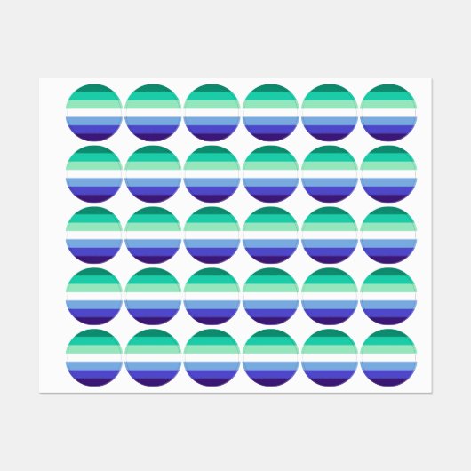 SlipperyJoe's trans-inclusieve vlaggencode voor ho Labels (Vel)