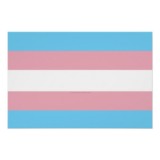 SlipperyJoe's transgender trotskleurvlag zichtbaar Perfect Poster (Voorkant)
