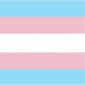 SlipperyJoe's transgender trotsky vlag zichtbaarhe Sticker (Voorkant)