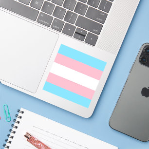 SlipperyJoe's transgender trotsky vlag zichtbaarhe Sticker