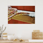 Slithering Red Corn Snake Poster (Keuken)