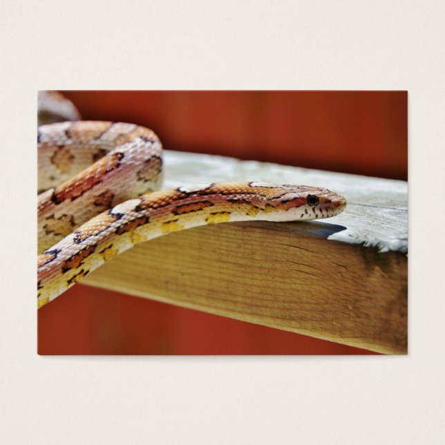 Slithering Red Corn Snake Visitekaartjes (Voorkant)