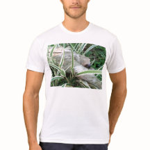 sloeit met gestileerde rugpix