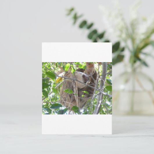 sloep briefkaart (Staand voorkant)