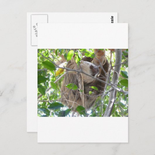 sloep briefkaart (Voorkant / Achterkant)