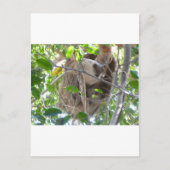 sloep briefkaart (Voorkant)