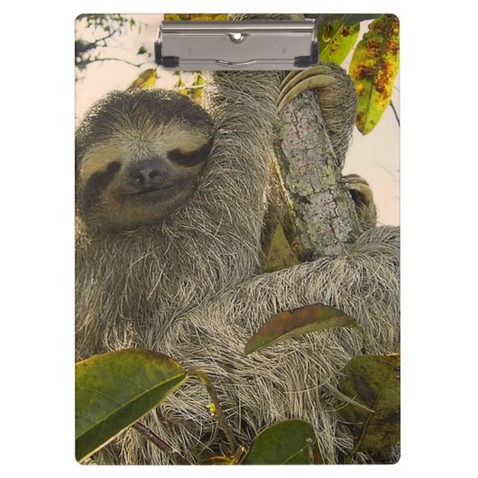 sloep klembord (Voorkant)