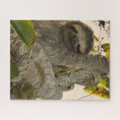 sloep legpuzzel (Horizontaal)