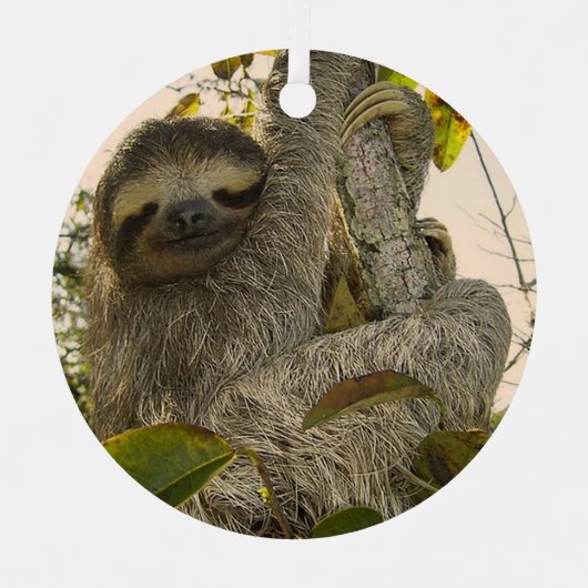 sloep metalen ornament (Voorkant)