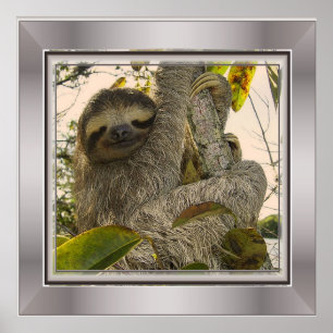sloep poster