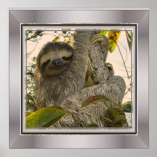 sloep poster (Voorkant)