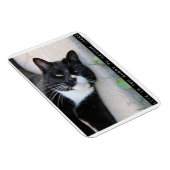 Slogan voor kattenadvies stimuleren magneet (Rechterzijde)