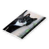 Slogan voor kattenadvies stimuleren magneet (Linkerzijde)