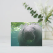 Sloppy Manatee Briefkaart (Staand voorkant)
