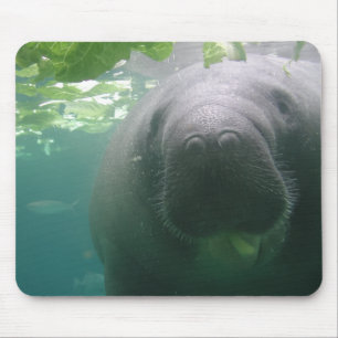 Sloppy Manatee mousepad Muismat