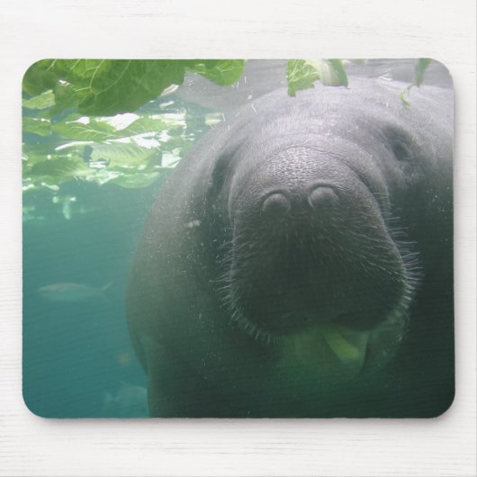 Sloppy Manatee mousepad Muismat (Voorkant)