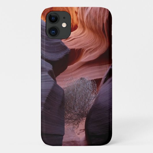 Slot Canyon Tumbleweed Southwest Abstract Case-Mate iPhone Case (Achterkant)
