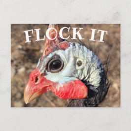 SLOT IT, Guinee Wooden Box Sign Briefkaart