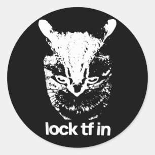 Slot TF in Kat Grappige Katten Meme Afbeeldingen C Ronde Sticker