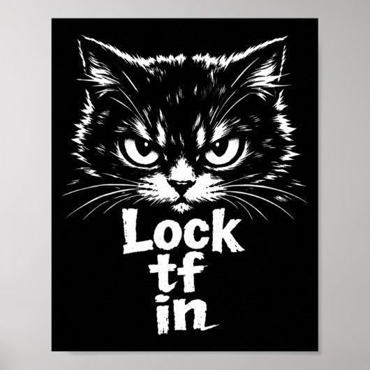 Slot TF in Kat Poster (Voorkant)