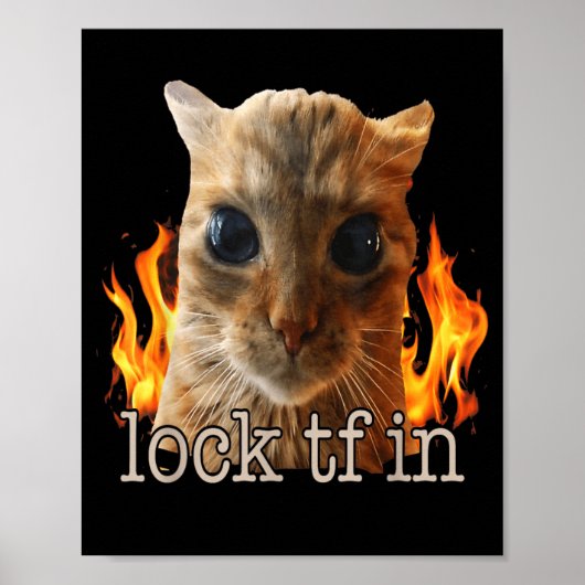 Slot tf in kat poster (Voorkant)