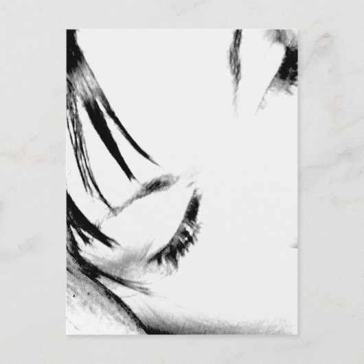 SLOT TWEEDE BRIEFKAART (Voorkant)