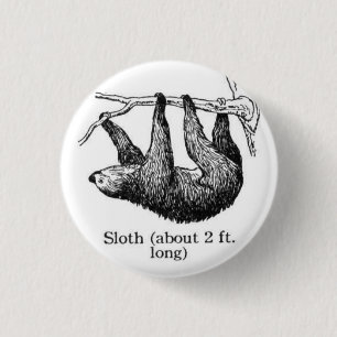 Slote Button