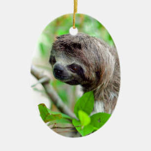 Slote in boom Nicaragua Keramisch Ornament