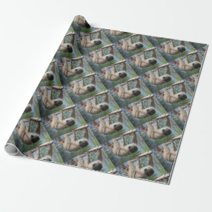 Slotfoto Cadeaupapier