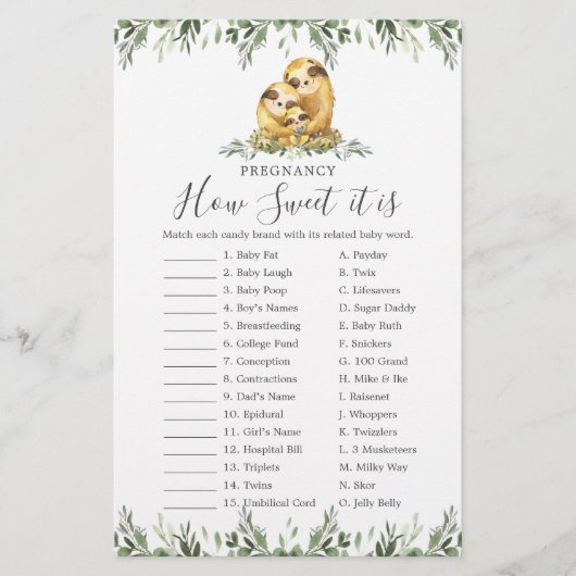 Sloth Baby shower Zwangerschap Hoe lief het is spe (Voorkant)