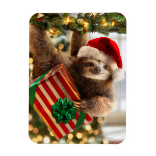 Sloth Bearing Gifts Magneet