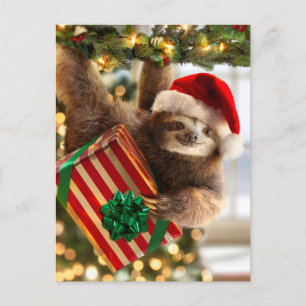Sloth Bearing Gifts Uitnodiging Briefkaart